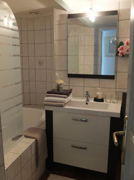 Charming Flat In Historical Centre * Dijon
