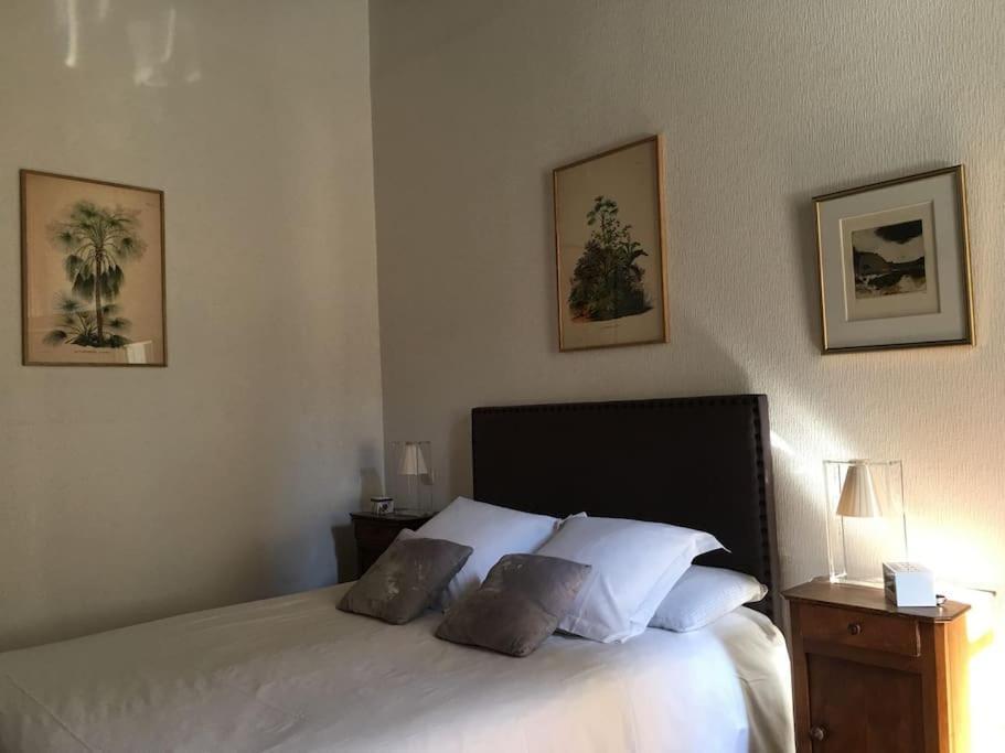 Charming Flat In Historical Centre Dijon